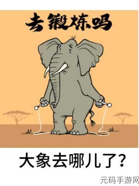dx77大象回家,大象回家历险记