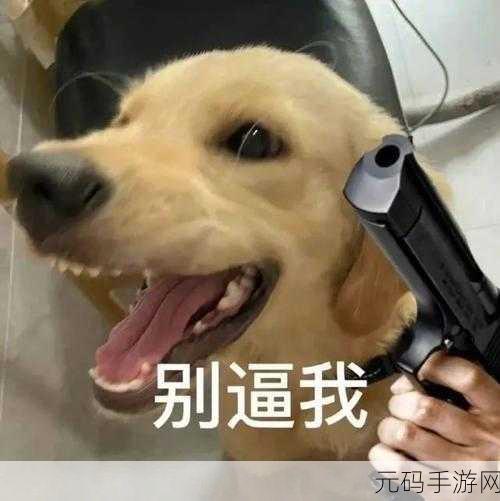 男人把qq放进女人qq表情包里,玩家把表情藏进了对手的表情库