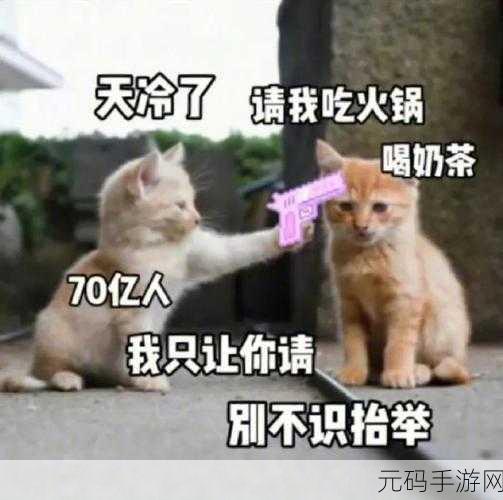 男人把qq放进女人qq表情包里,玩家把表情藏进了对手的表情库