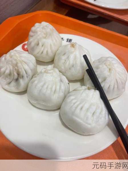 gogogo包子铺特色包子,【爆款】包子铺老字号 - 特色手工包