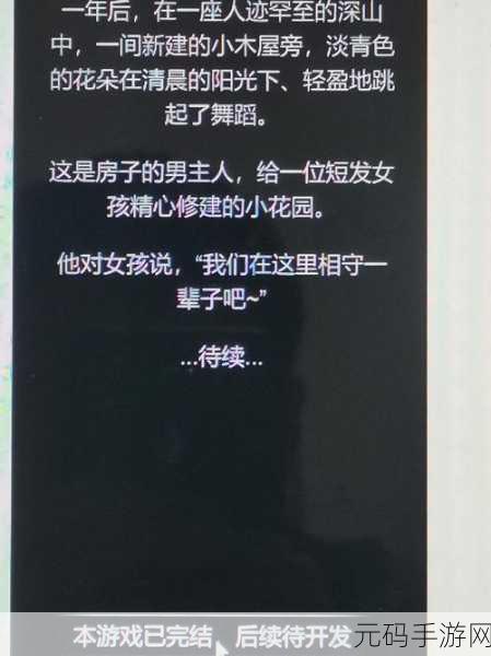 晶晶极限训练日记19,极限挑战:晶晶的修炼之路 第19章