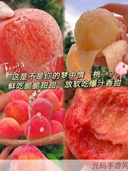 水蜜桃视频,蜜桃时刻