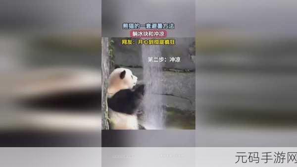 打牌拔萝卜不盖被子，欢乐萝卜消消乐