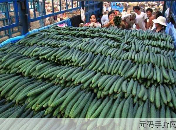 国产乱码精品一区二区三区黄瓜的特点,黄瓜大作战:三大特色玩法解析