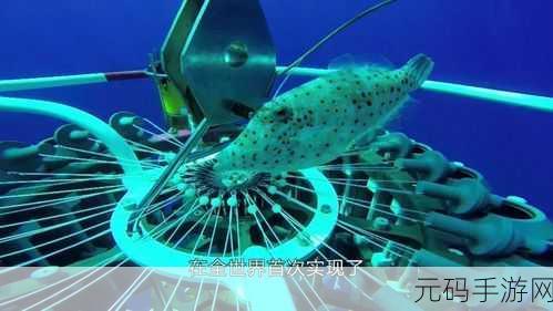 手游资讯,探索深海奥秘,致命捕捞,混乱海域美版下载及新内容揭秘