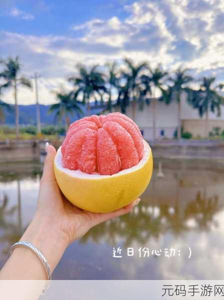 蜜柚视频网站,蜜柚短视频