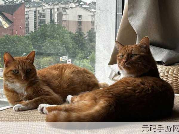 两个人躺上面一个人,三人同眠