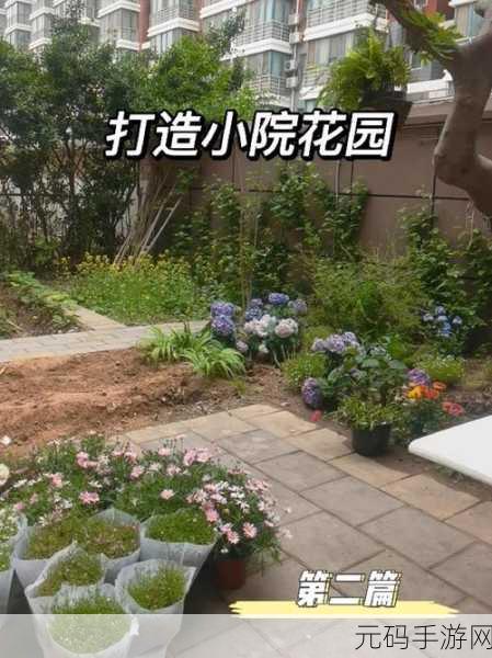 亲小花园的技巧和方法,花园养成:打造你的梦幻庭院攻略
