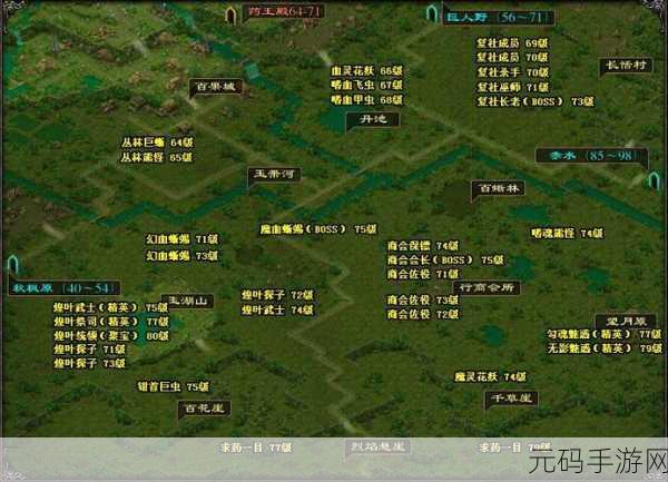 雨林甲虫进化游戏震撼发布,动作冒险新纪元等你来探索