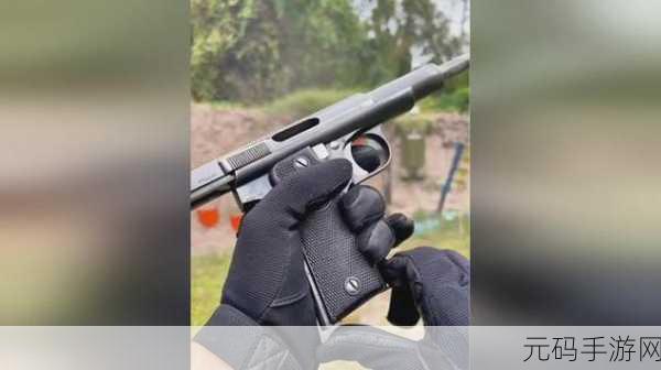 精英射击训练正式版震撼发布,模拟枪械射击新体验等你来战