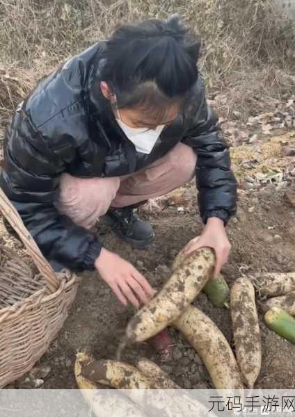 光腿拔罗卜,拔萝卜大作战