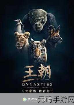 精东影视HD,精彩视界HD