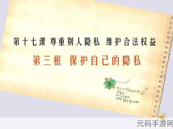 12岁隐私能放几支笔,12岁玩家的隐私保护指南