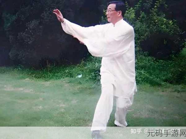 55岁真人实战,55级大师实战教学