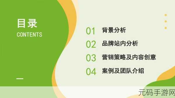 国外b站黄网站推广,海外游戏社区推广方案