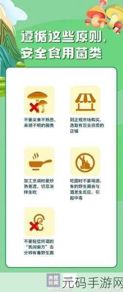 蘑菇视频黑料,蘑菇短视频 - 趣味生活分享