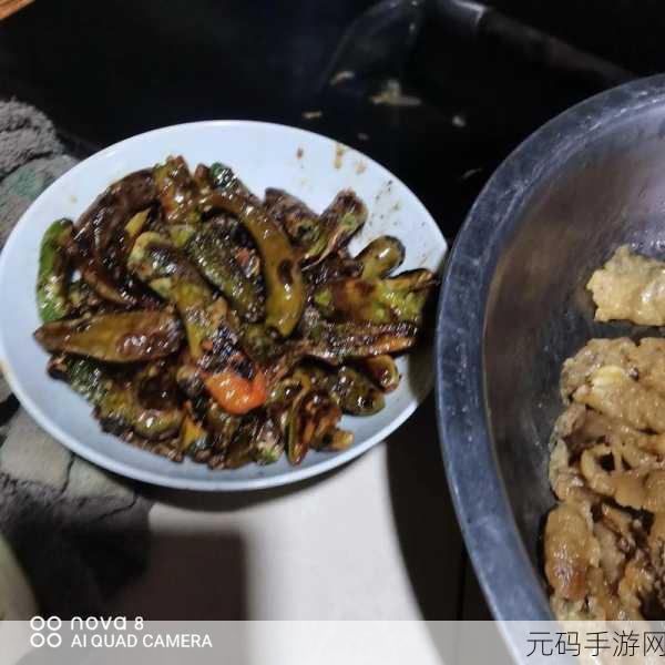 蘑菇视频黑料,蘑菇短视频 - 趣味生活分享