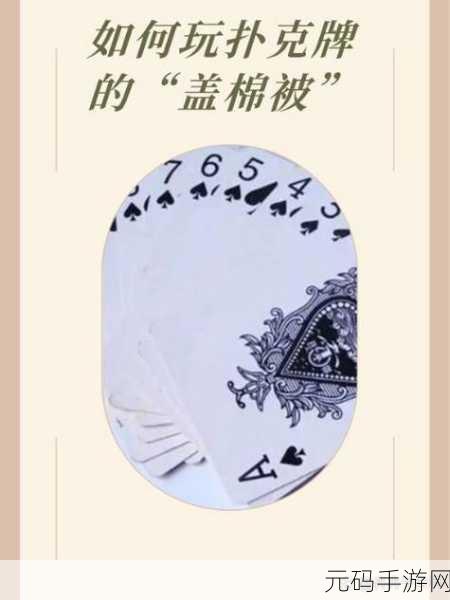 打扑壳不盖被子,被子大作战