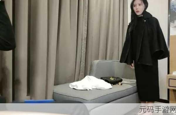 国产露脸精品国产探花，热门探花游戏