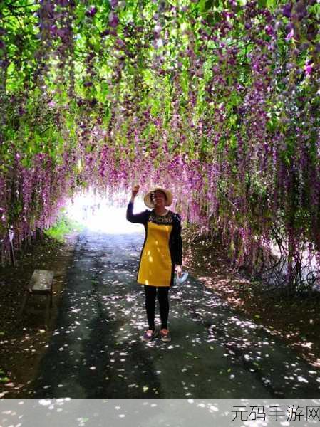 伊甸园秘 密入口,神秘花园探险