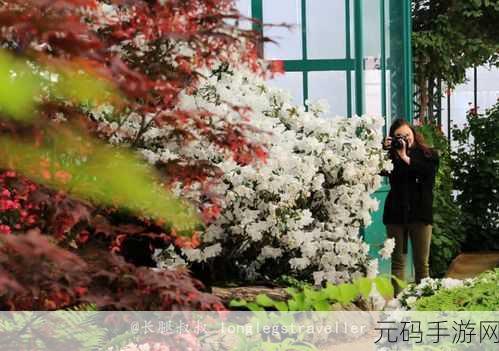 伊甸园秘 密入口,神秘花园探险
