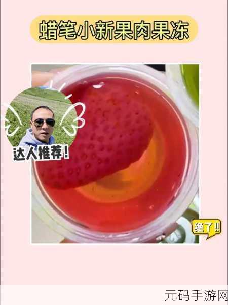 果冻传染煤2024,果冻大作战:全民传染2024