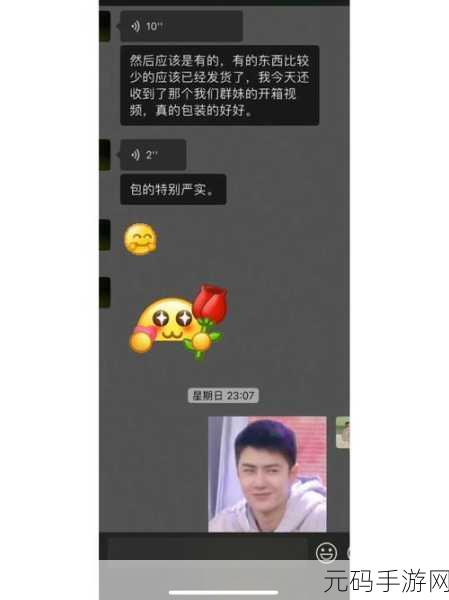 可靠快递双人联机版震撼发布,欢乐模拟,携手共递笑声