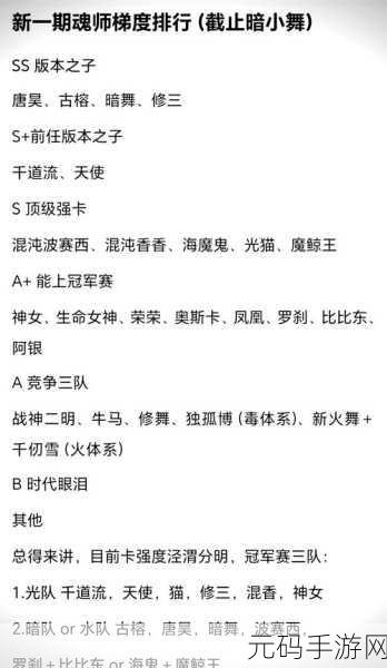女忍者耐力训练测试,女忍修炼之道