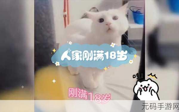 ydyse18岁直接进入,确认您已满18周岁