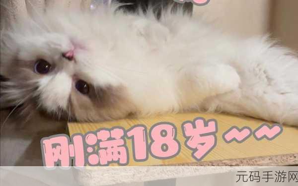 ydyse18岁直接进入,确认您已满18周岁