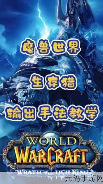 巫妖王之怒猎人输出手法,巫妖王之怒:猎人DPS完全攻略