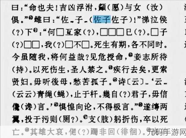 双女嗟嗟嗟很痛，双子姐妹的伤痛之旅