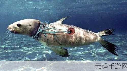 有海洋标志号的游戏,海洋冒险:船旗传说
