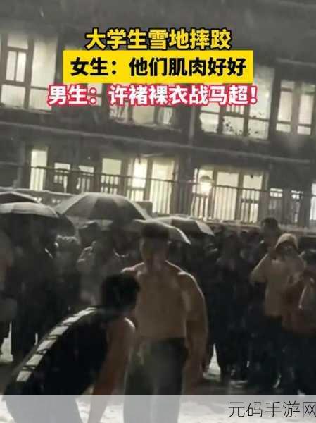 摔跤英雄新版本震撼发布,娱乐动作格斗新体验等你来战