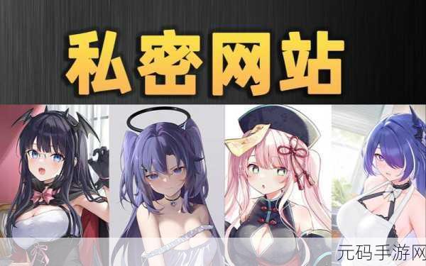 成人网站入口,私密空间