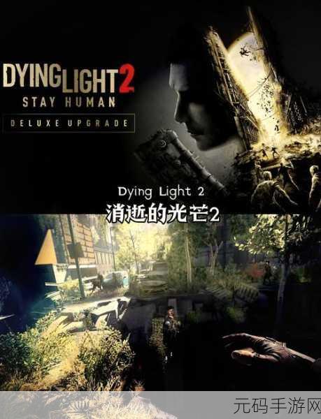 赛博2077成人剧情选择,未来都市:情缘抉择