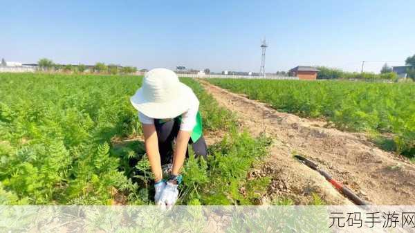 在床上拔萝卜下载,趣味农场大作战