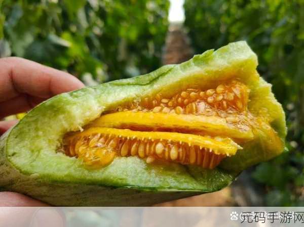 51吃瓜今日吃瓜必吃，今日瓜王 - 热门八卦速递
