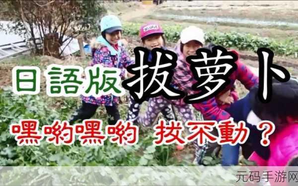 二人世界拔萝卜在线观看免费最新版本更新时间,萝卜大作战:双人欢乐版