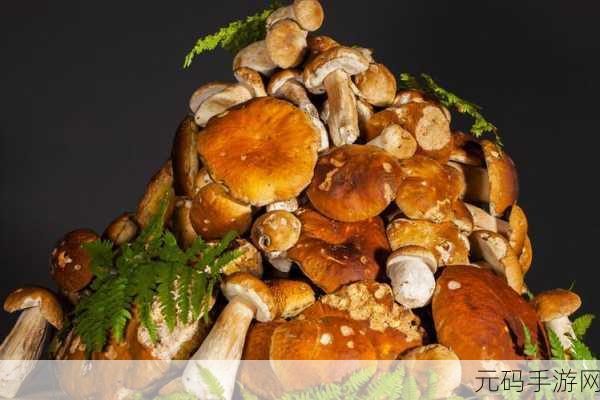 7x7x7x7x任意槽蘑菇,超级蘑菇消除大师