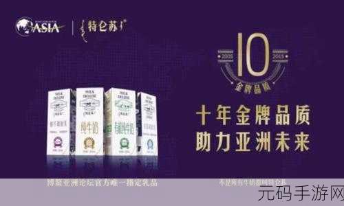 亚洲砖码一二三,砖码大师:亚洲传奇