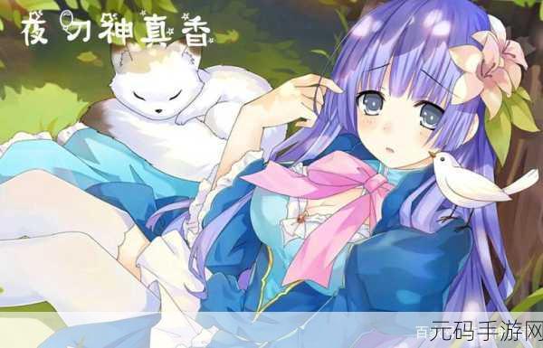 九么,九么大作战