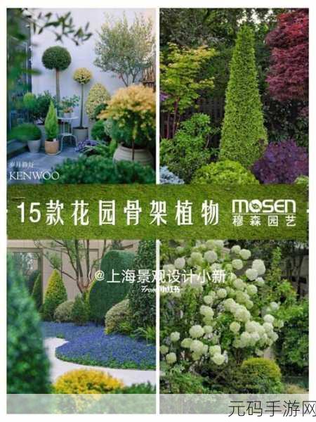 亲小花园 技巧,花园成长指南:轻松养成攻略
