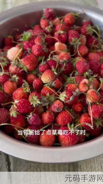 呦呦资讯网草莓视频，草莓短视频 - 精彩生活一点通