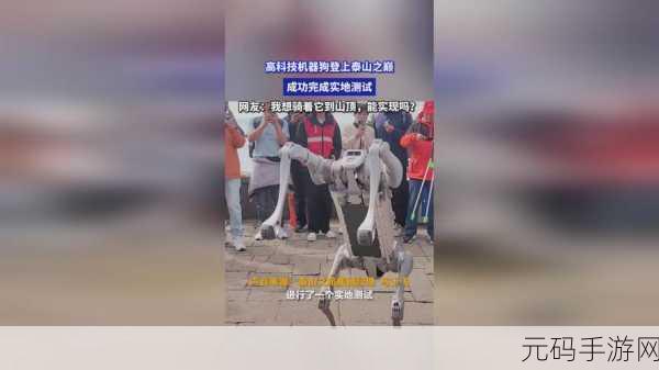 51n吃瓜,吃瓜大作战