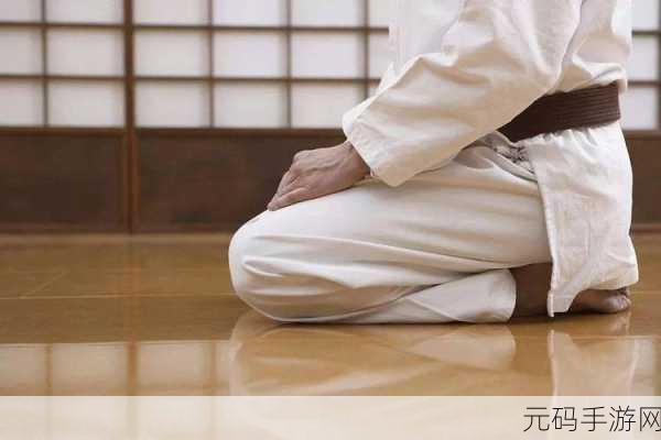 跪着主人走到面前应该怎么办,如何在游戏中完成跪行礼仪动作