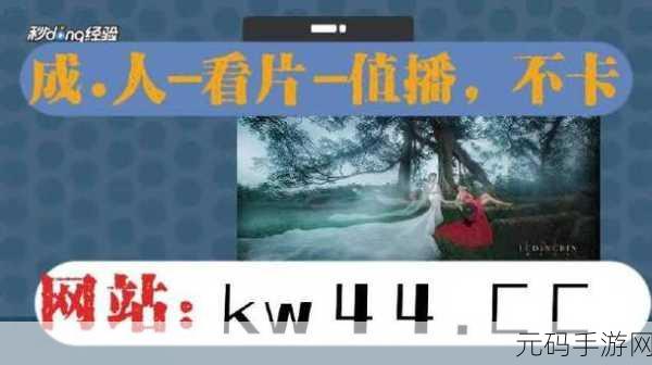污秽视频软件，成人私密影视