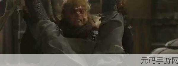 生猴子网站,萌宠猴王