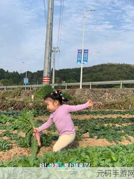 拔萝卜软件,萝卜农场大作战