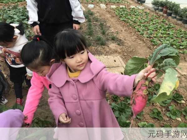 拔萝卜软件,萝卜农场大作战